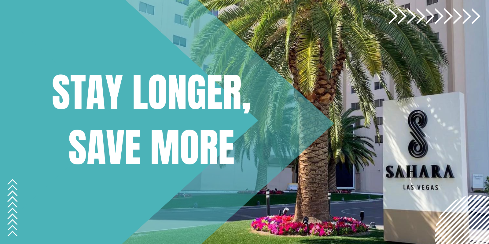 Stay Longer, Save More graphic. Shows SAHARA sign and a palm tree with flowers. Teal and textural treatments.