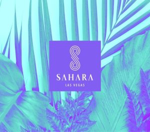 Summer Pool Season promo visual. Shows purple and teal colors, tropical leaves and the SAHARA logo