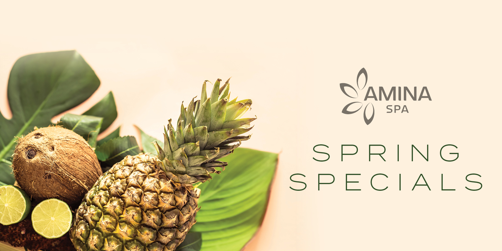 Spring Specials creative for Amina Spa showing a tropical vibe with coconuts and pineapples